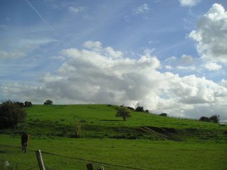 Another View of the Biggin Meadow,Today 2013. | from John Smith