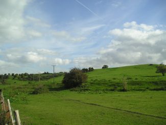 Biggin Meadow, today 2013 | from John Smith