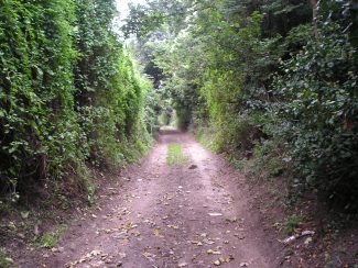 Looking up Sandy Lane today | from John Smith